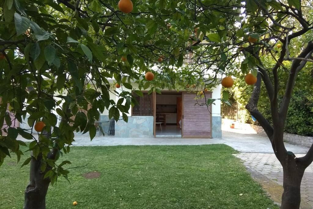 Electra Apartment In Epidaurus Ngoại thất bức ảnh