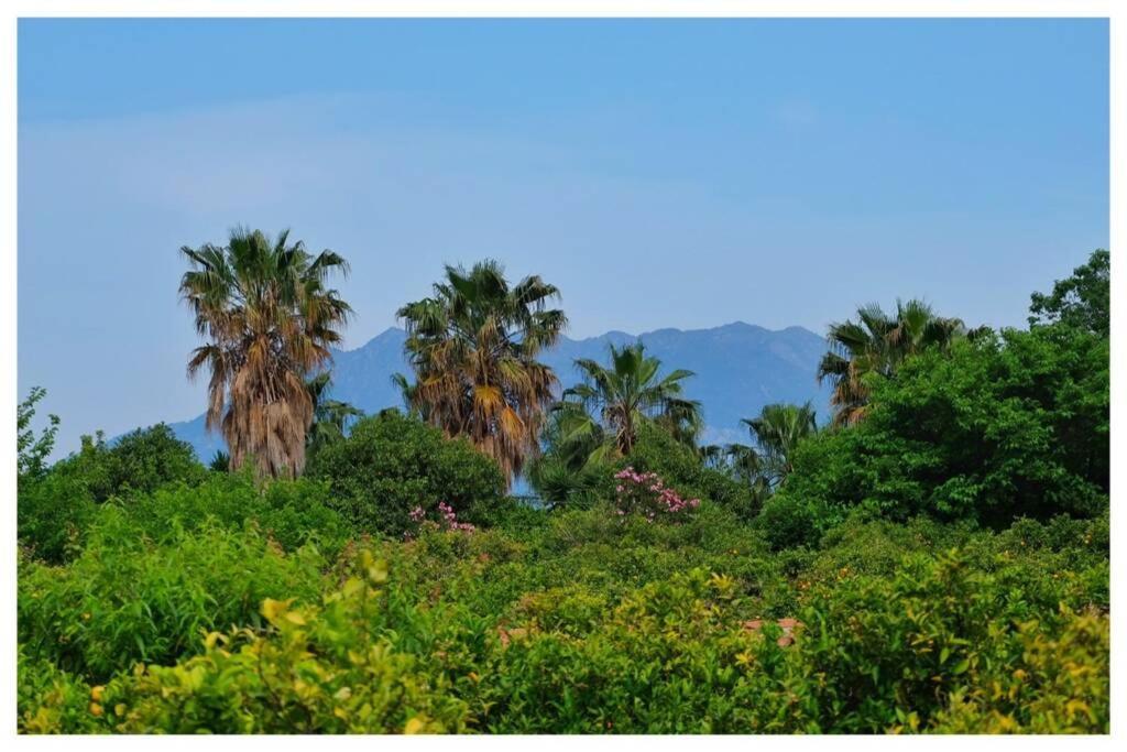 Electra Apartment In Epidaurus Ngoại thất bức ảnh