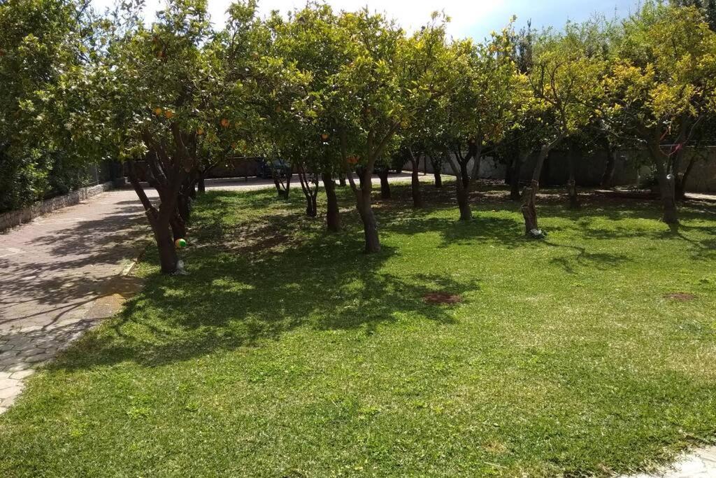 Electra Apartment In Epidaurus Ngoại thất bức ảnh