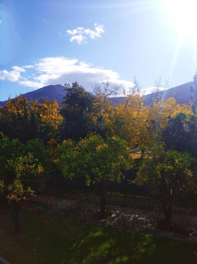 Electra Apartment In Epidaurus Ngoại thất bức ảnh
